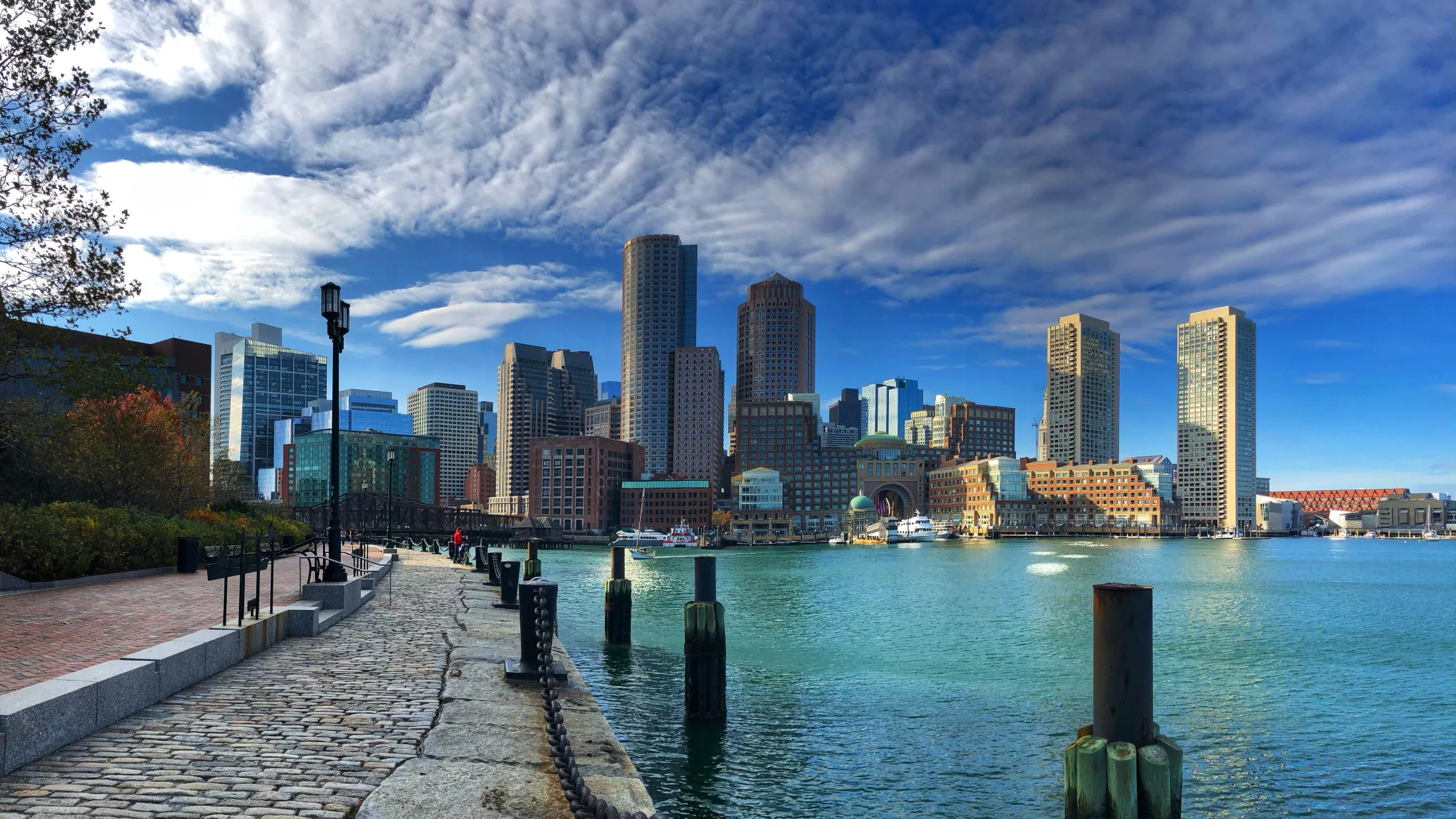 Dog friendly city guide to Boston