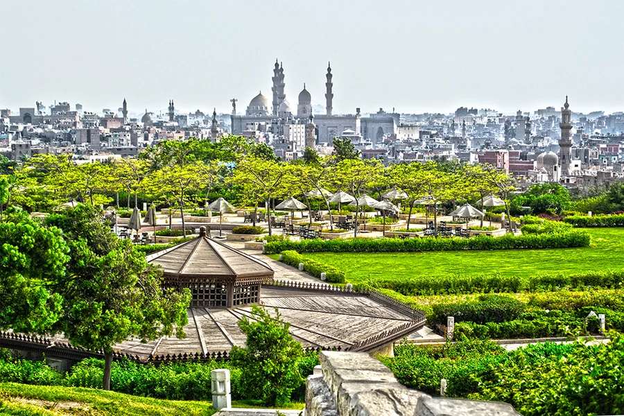 Dog friendly city guide to Cairo