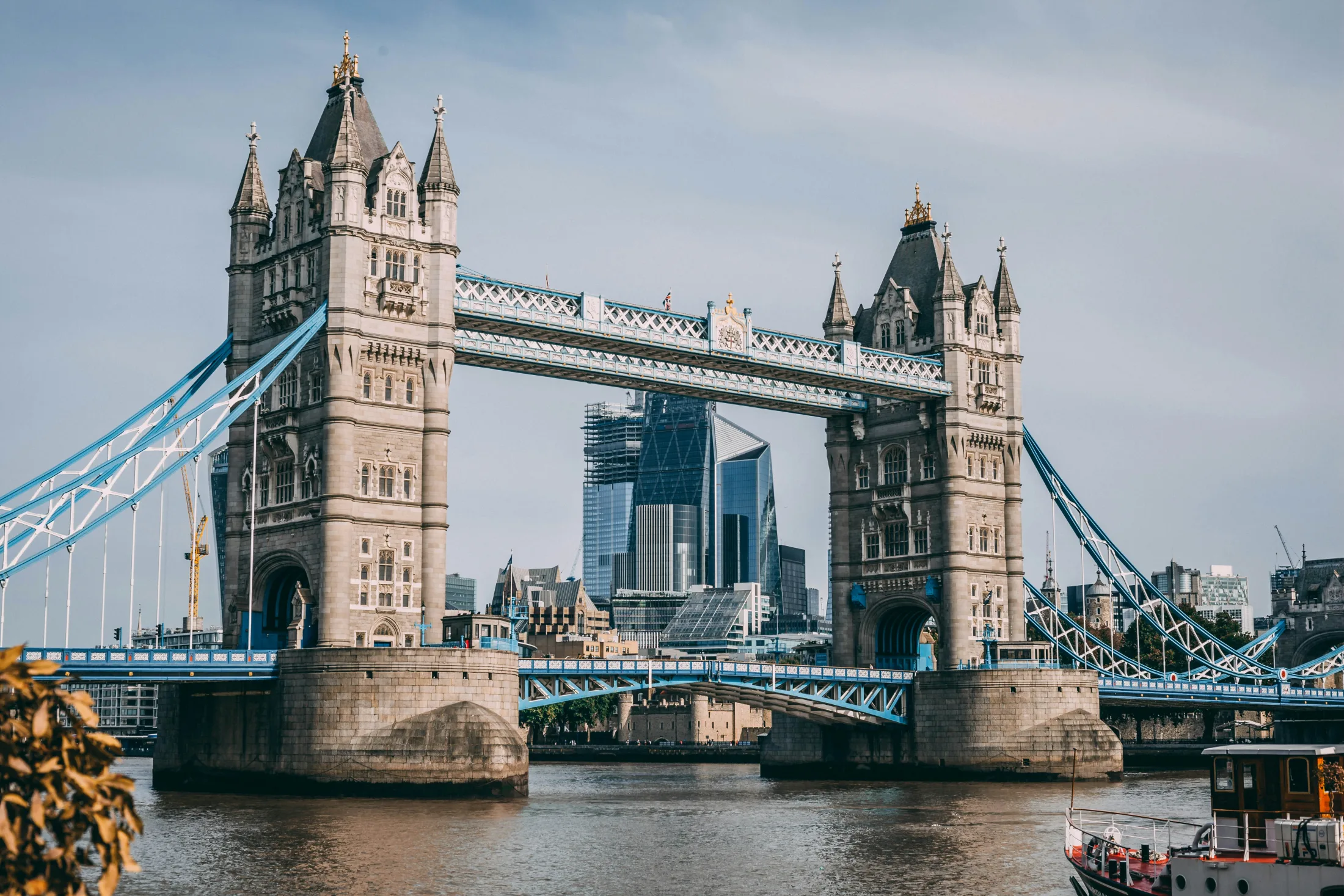 Dog friendly city guide to London