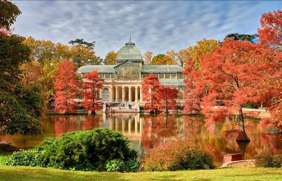 Dog friendly city guide to Madrid