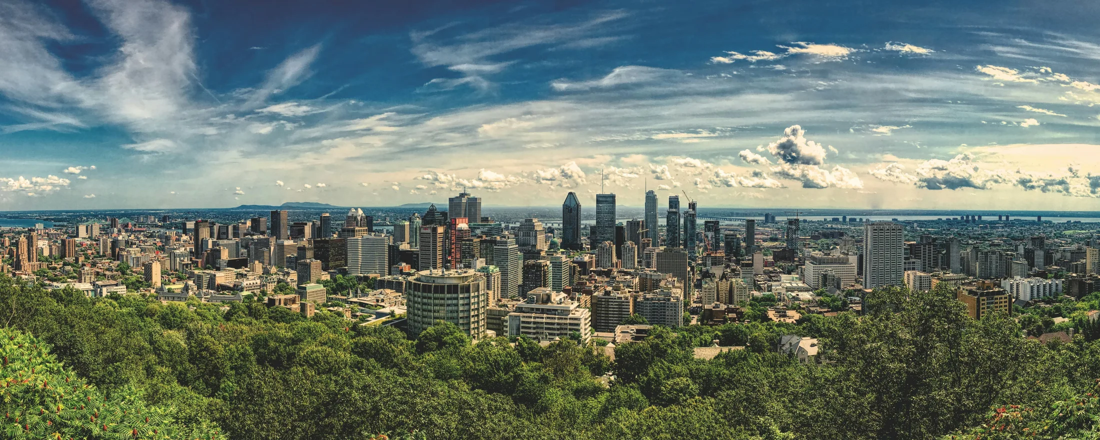 Dog friendly city guide to Montreal