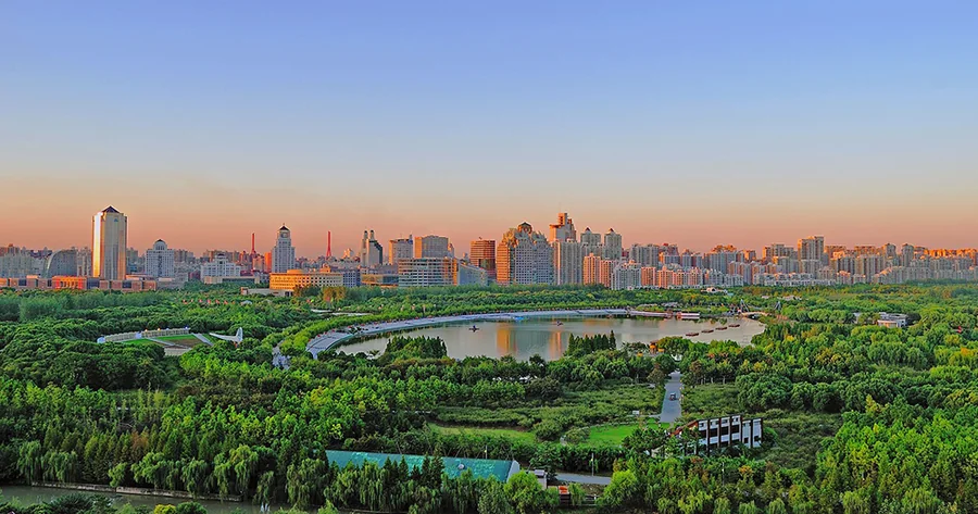 Dog friendly city guide to Shanghai